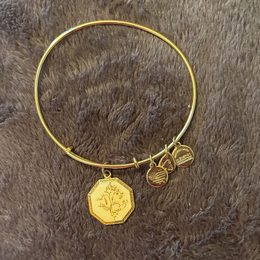 Alex and Ani Gold Charm Bracelet